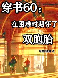 穿书60：在困难时期怀了双胞胎